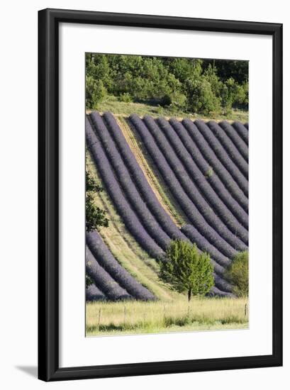 Croagnes, Provence, France-Sergio Pitamitz-Framed Photographic Print