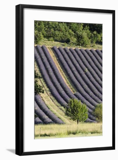 Croagnes, Provence, France-Sergio Pitamitz-Framed Photographic Print