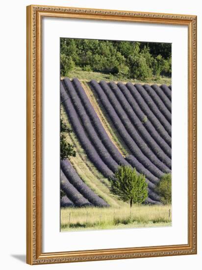 Croagnes, Provence, France-Sergio Pitamitz-Framed Photographic Print