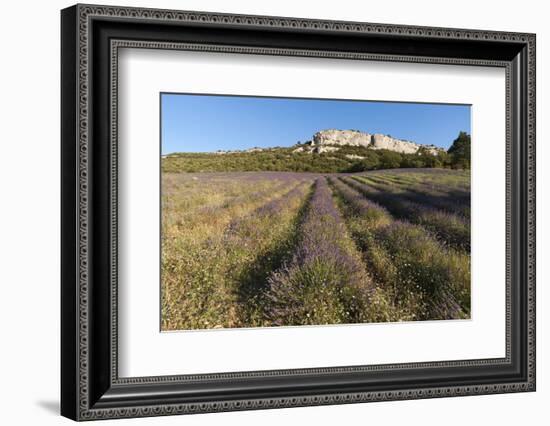 Croagnes, Provence, France-Sergio Pitamitz-Framed Photographic Print