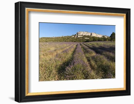 Croagnes, Provence, France-Sergio Pitamitz-Framed Photographic Print