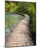 Croatia, Boardwalk in Plitvice Lakes National Park.-Julie Eggers-Mounted Photographic Print