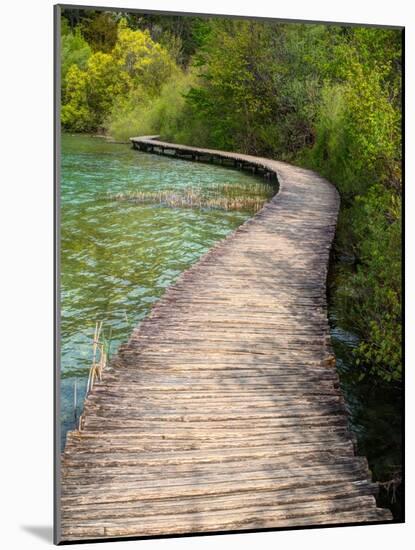 Croatia, Boardwalk in Plitvice Lakes National Park.-Julie Eggers-Mounted Photographic Print