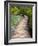 Croatia, Boardwalk in Plitvice Lakes National Park.-Julie Eggers-Framed Photographic Print