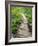 Croatia, Boardwalk in Plitvice Lakes National Park.-Julie Eggers-Framed Photographic Print