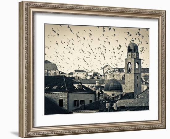 Croatia, Dalmatia, Dubrovnik, Old Town (Stari Grad), Clock Tower Surrounded by Birds-Alan Copson-Framed Photographic Print