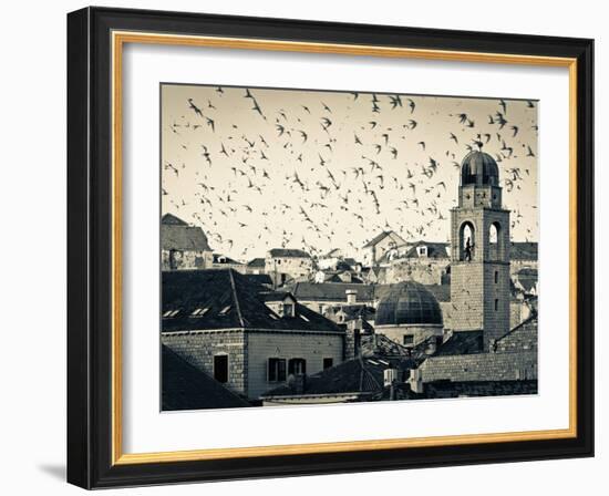 Croatia, Dalmatia, Dubrovnik, Old Town (Stari Grad), Clock Tower Surrounded by Birds-Alan Copson-Framed Photographic Print