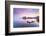 Croatia, Dalmatia, Dubrovnik, Old town, Sunset over the city walls and harbour-Jordan Banks-Framed Photographic Print