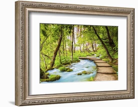 Croatia, Dalmatia, Karlovac, Plitvice, Plitvice national park, High lakes-Jordan Banks-Framed Photographic Print