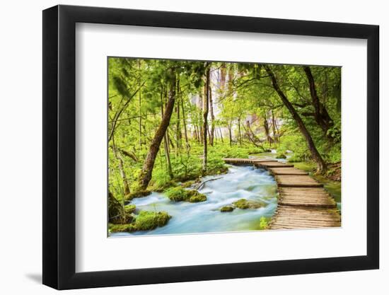 Croatia, Dalmatia, Karlovac, Plitvice, Plitvice national park, High lakes-Jordan Banks-Framed Photographic Print