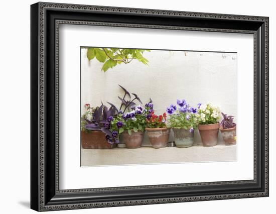 Croatia, Dubrovnik. Attractive flowers clay pots.-Trish Drury-Framed Photographic Print