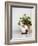 Croatia, Hvar. Domestic cat sitting by a potted jade plant along the street.-Julie Eggers-Framed Photographic Print