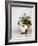 Croatia, Hvar. Domestic cat sitting by a potted jade plant along the street.-Julie Eggers-Framed Photographic Print