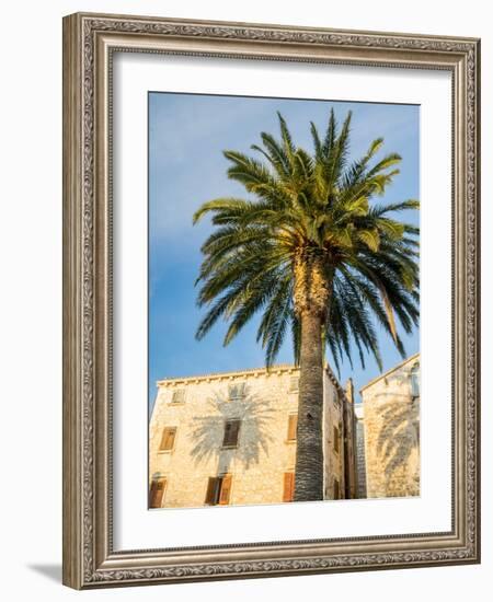 Croatia, Hvar. Palm trees and shadow along the promenade.-Julie Eggers-Framed Photographic Print