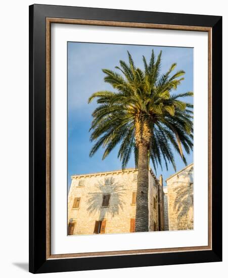 Croatia, Hvar. Palm trees and shadow along the promenade.-Julie Eggers-Framed Photographic Print