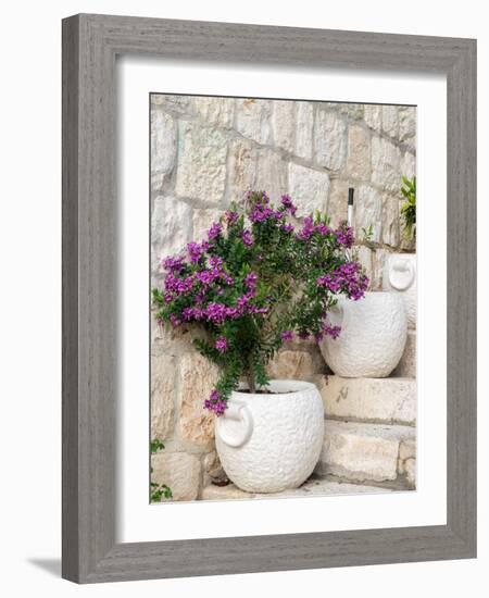 Croatia, Hvar. Potted purple plants in pots on steps.-Julie Eggers-Framed Photographic Print