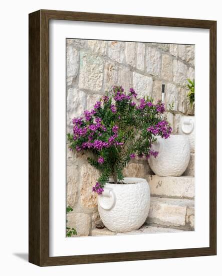 Croatia, Hvar. Potted purple plants in pots on steps.-Julie Eggers-Framed Photographic Print