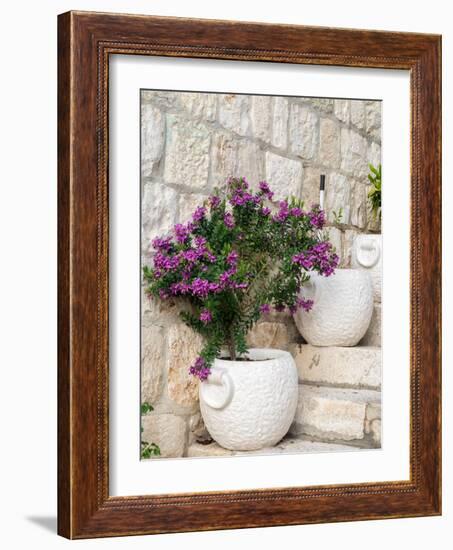 Croatia, Hvar. Potted purple plants in pots on steps.-Julie Eggers-Framed Photographic Print