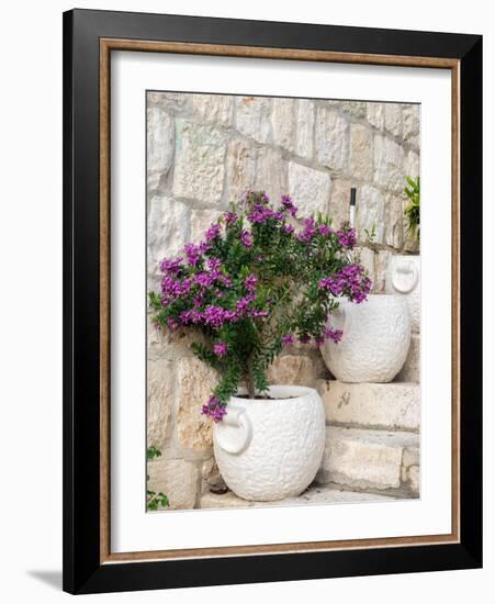 Croatia, Hvar. Potted purple plants in pots on steps.-Julie Eggers-Framed Photographic Print