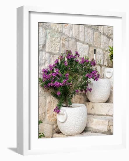 Croatia, Hvar. Potted purple plants in pots on steps.-Julie Eggers-Framed Photographic Print