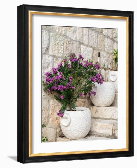 Croatia, Hvar. Potted purple plants in pots on steps.-Julie Eggers-Framed Photographic Print