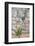 Croatia, Hvar, Vrboska. Poppy grows in stone wall.-Trish Drury-Framed Photographic Print