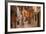 Croatia, Istria, Adriatic Coast, Rovinj, Old Town Lane in the Evening-Udo Siebig-Framed Photographic Print