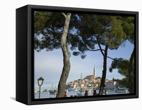 Croatia, Istria, Rovinj, Harbour and Cathedral of St. Euphemia-Walter Bibikow-Framed Premier Image Canvas