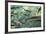 Croatia, National Park Plitvice, Fish, Waters, Clearly-Rainer Mirau-Framed Photographic Print