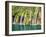 Croatia. National Park Plitvice Lakes, waterfalls in the Parco Nazionale dei laghi di Plitvice-Terry Eggers-Framed Photographic Print