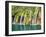 Croatia. National Park Plitvice Lakes, waterfalls in the Parco Nazionale dei laghi di Plitvice-Terry Eggers-Framed Photographic Print