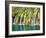 Croatia. National Park Plitvice Lakes, waterfalls in the Parco Nazionale dei laghi di Plitvice-Terry Eggers-Framed Photographic Print