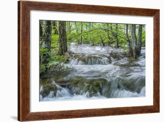 Croatia, Plitvice Lakes National Park, Mountain Stream-Rob Tilley-Framed Photographic Print