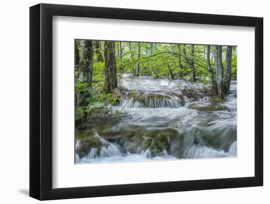 Croatia, Plitvice Lakes National Park, Mountain Stream-Rob Tilley-Framed Photographic Print