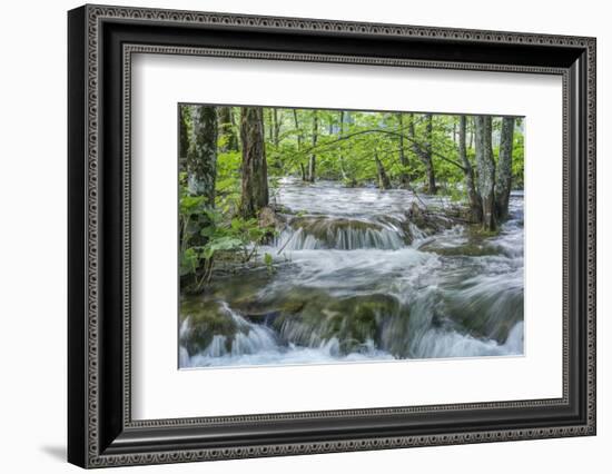 Croatia, Plitvice Lakes National Park, Mountain Stream-Rob Tilley-Framed Photographic Print