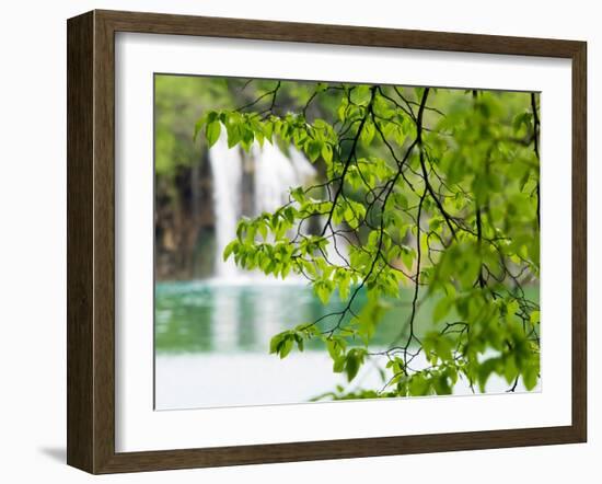 Croatia, Plitvice Lakes National Park. The Plitvice Lakes in the National Park Plitvicka Jezera.-Julie Eggers-Framed Photographic Print