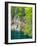 Croatia, Plitvice Lakes National Park. The Plitvice Lakes in the National Park Plitvicka Jezera.-Julie Eggers-Framed Photographic Print