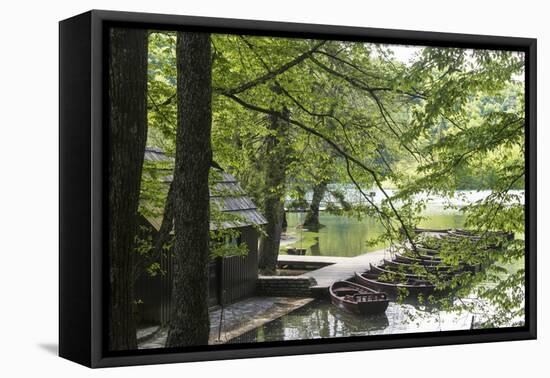 Croatia, Plitvice National Park. Boat dock for rentals and electric tour boats.-Trish Drury-Framed Premier Image Canvas