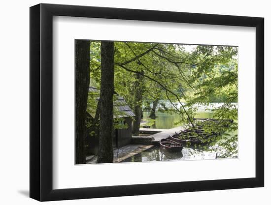 Croatia, Plitvice National Park. Boat dock for rentals and electric tour boats.-Trish Drury-Framed Photographic Print