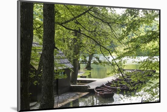 Croatia, Plitvice National Park. Boat dock for rentals and electric tour boats.-Trish Drury-Mounted Photographic Print