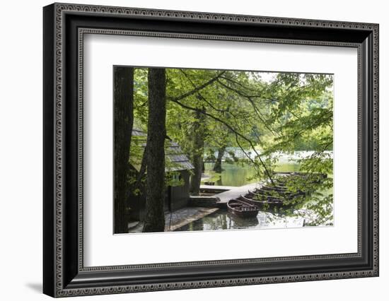 Croatia, Plitvice National Park. Boat dock for rentals and electric tour boats.-Trish Drury-Framed Photographic Print