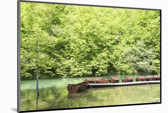 Croatia, Plitvice National Park. Boat dock for rentals.-Trish Drury-Mounted Photographic Print