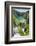 Croatia, Plitvice National-Park, Cascades, Seas, Landscape-Reception-Rainer Mirau-Framed Photographic Print