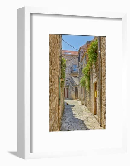 Croatia, Stari Grad. Cat in town street.-Jaynes Gallery-Framed Photographic Print