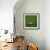 Croatian Soccerball Lying on Grass-zentilia-Framed Art Print displayed on a wall