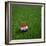 Croatian Soccerball Lying on Grass-zentilia-Framed Art Print