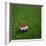 Croatian Soccerball Lying on Grass-zentilia-Framed Art Print