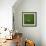 Croatian Soccerball Lying on Grass-zentilia-Framed Art Print displayed on a wall