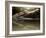 Croc-Fahmi Bhs-Framed Photographic Print