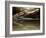 Croc-Fahmi Bhs-Framed Photographic Print